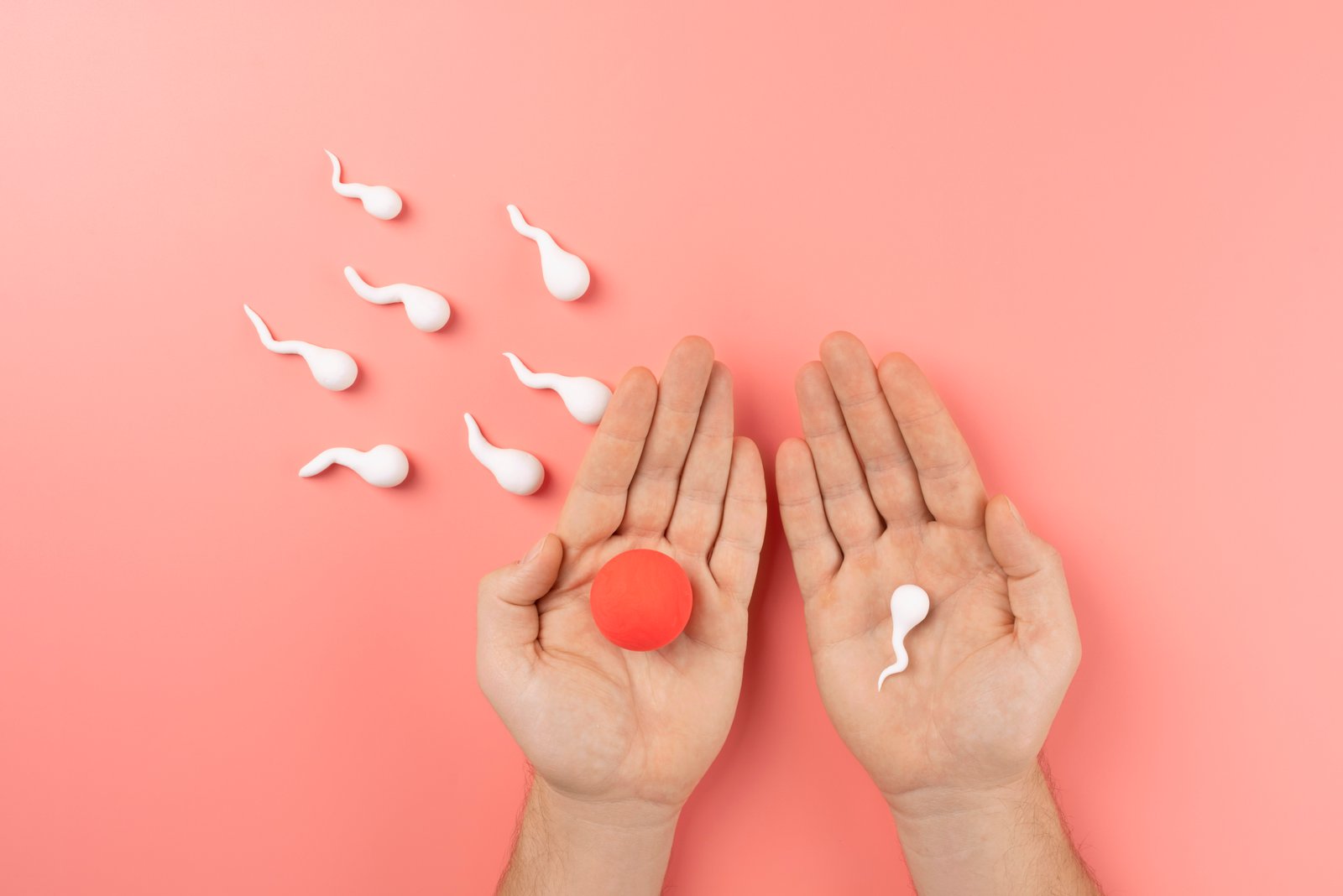 Infertility Evaluation
